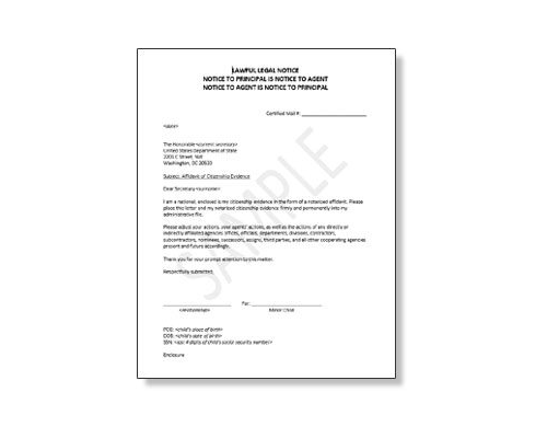 Sample Affidavit Cover Letter for Minors